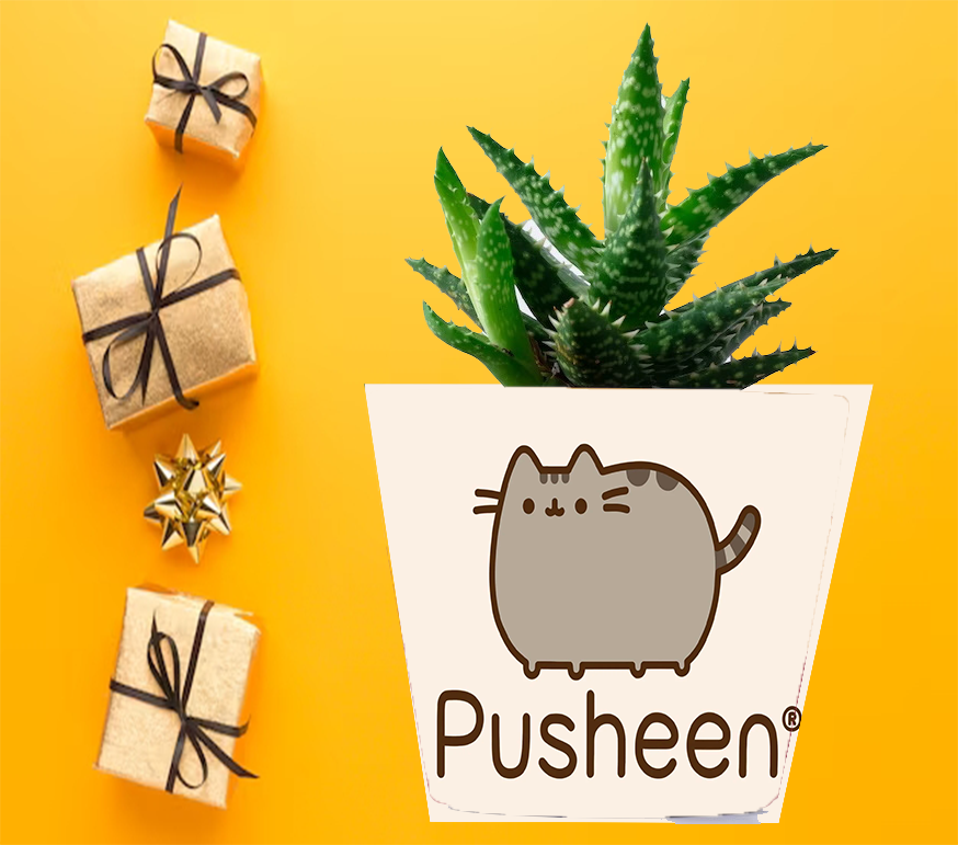 Doniczka do kwiatów/roślin - Pusheen - Kotek