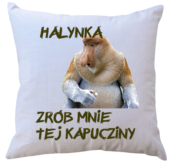 Poduszka dla Janusza