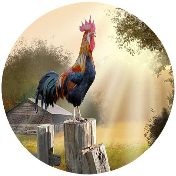 Podkładka pod myszkę Kury