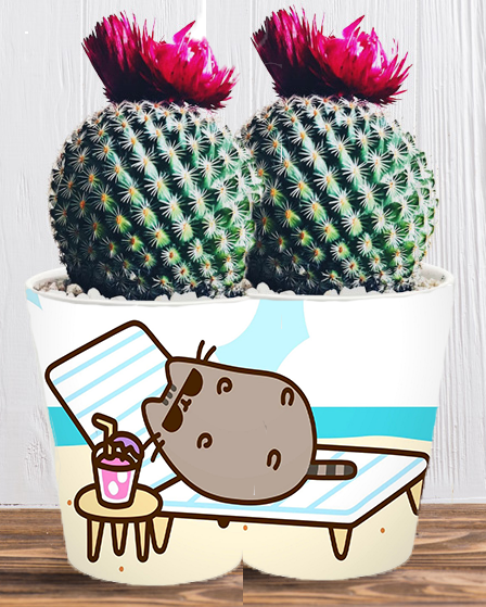 Doniczka do kwiatów/roślin - Pusheen - Kotek