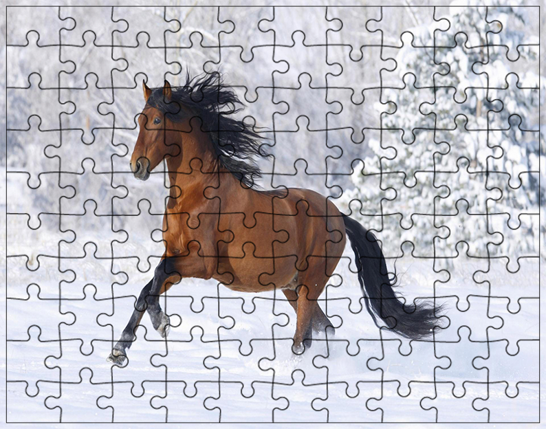 Puzzle Konie