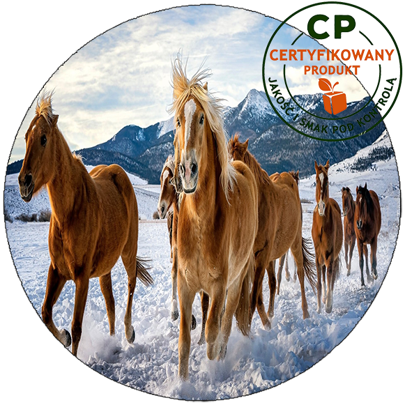 Opłatek na tort Konie