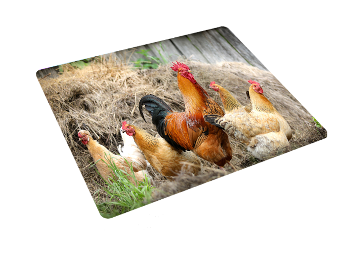 Podkładka pod myszkę Kury