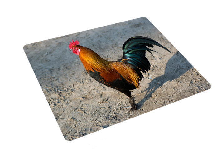 Podkładka pod myszkę Kury