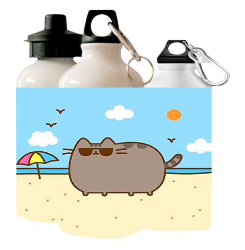 Bidon Pusheen