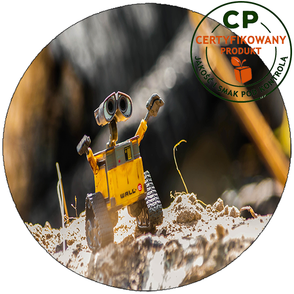 Opłatek na tort Wall-e