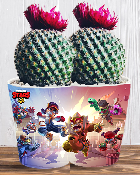 Doniczka do kwiatów - Brawl Stars