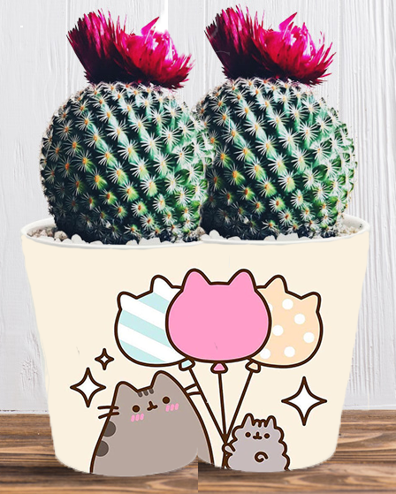 Doniczka do kwiatów/roślin - Pusheen - Kotek