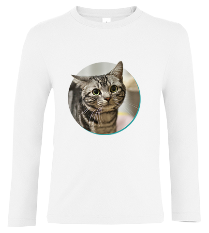 Bluzka tshirt z długim rękawem Kot