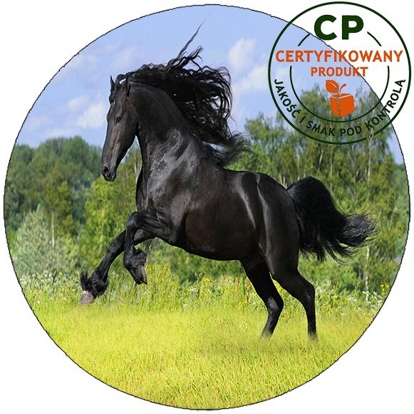 Opłatek na tort Konie