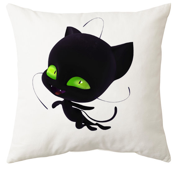 Poduszka Biedronka i Czarny Kot