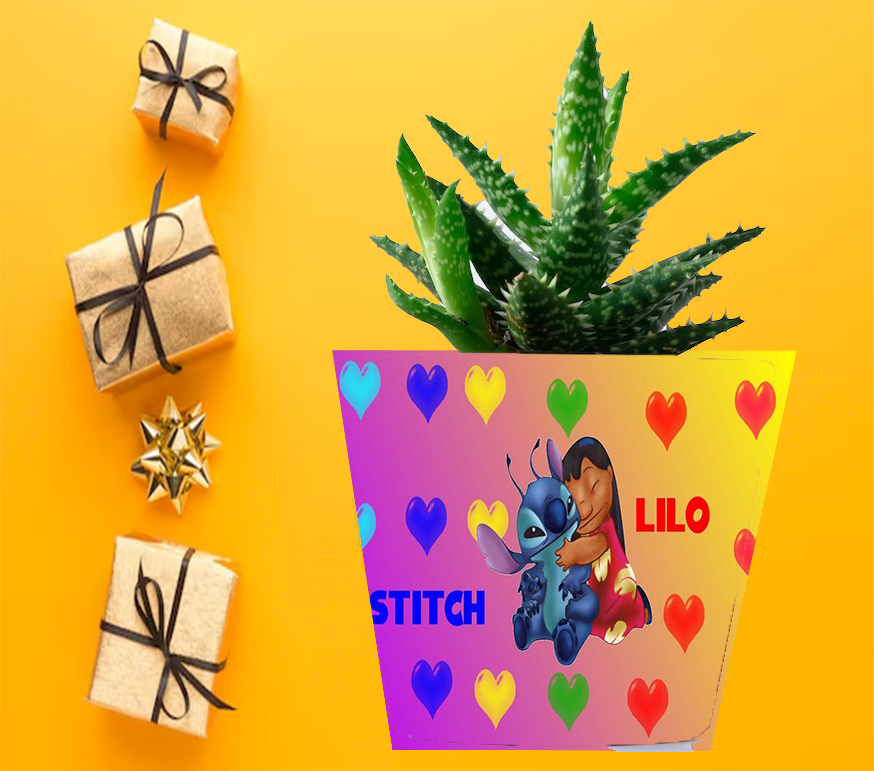 Doniczka do kwiatów/roślin - Lilo i Stich