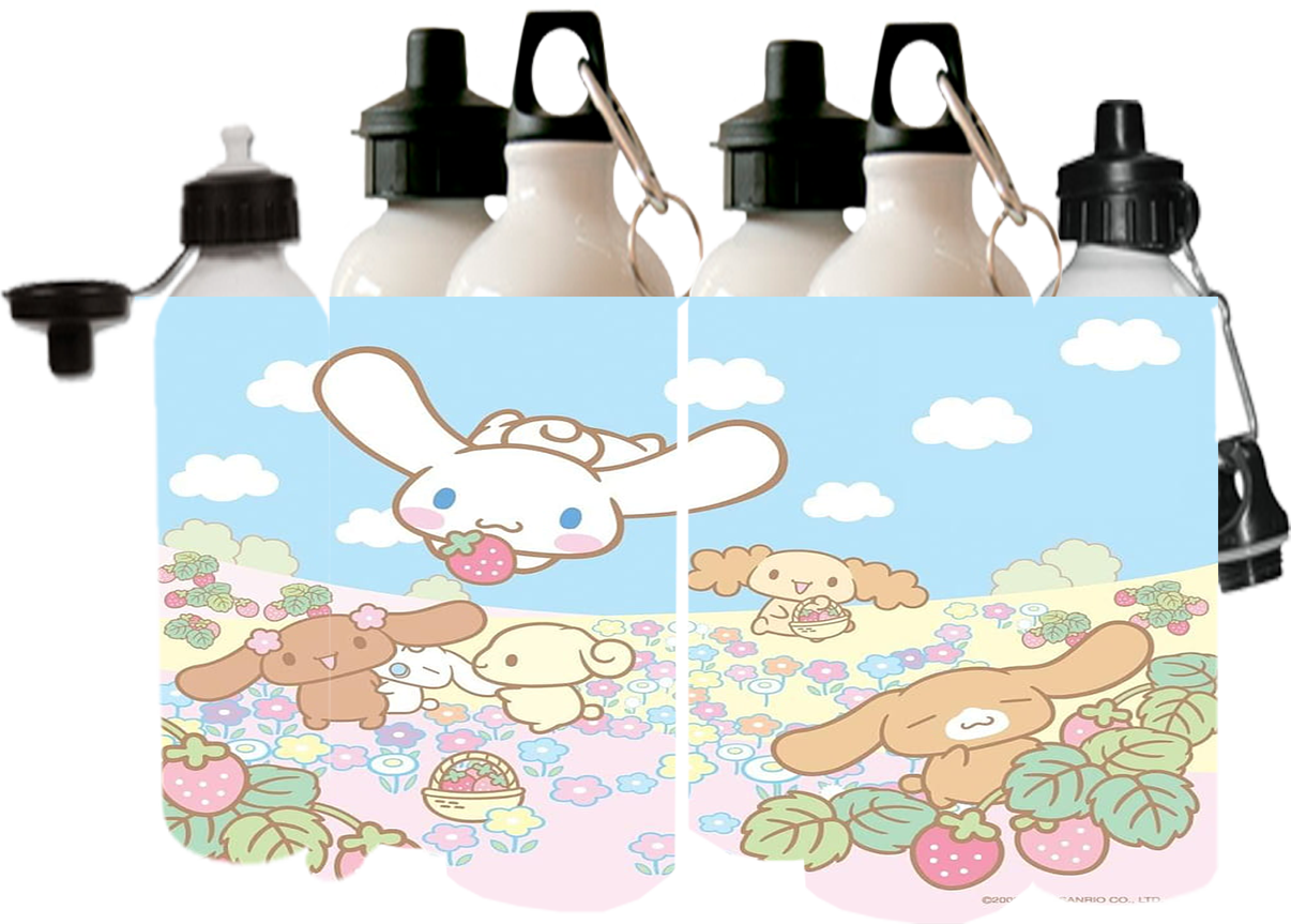 Bidon Junior - Cinnamoroll