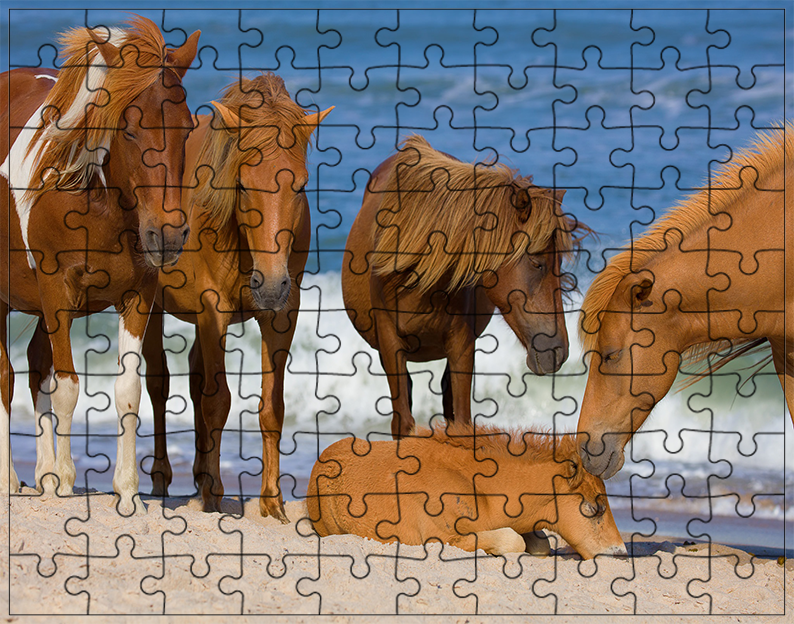 Puzzle Konie