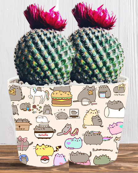 Doniczka do kwiatów/roślin - Pusheen - Kotek