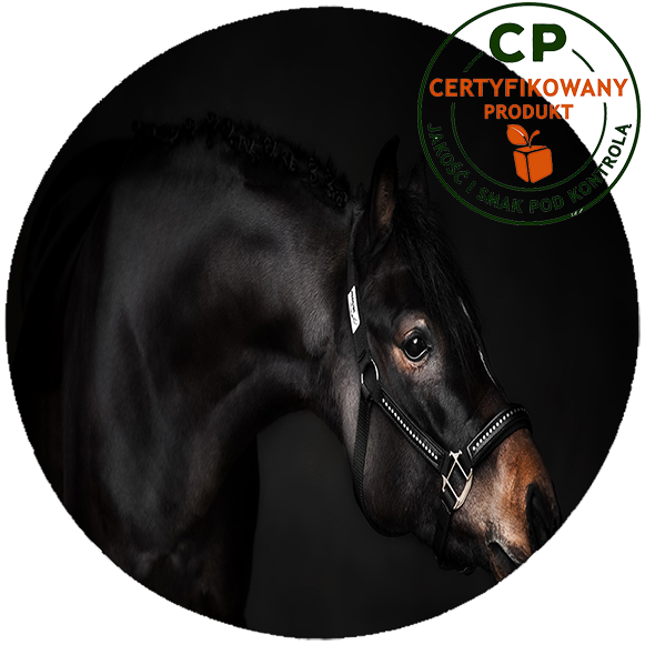 Opłatek na tort Konie