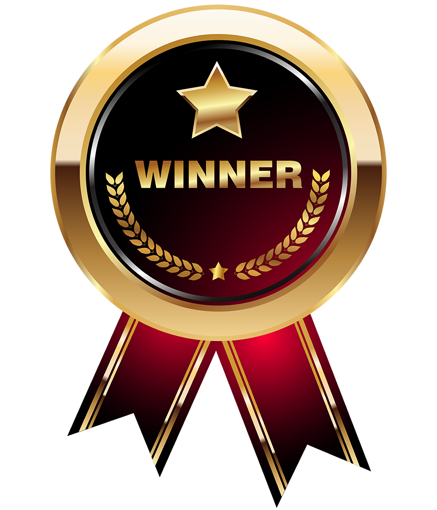 Koszulka T-shirt Robert Lewandowski