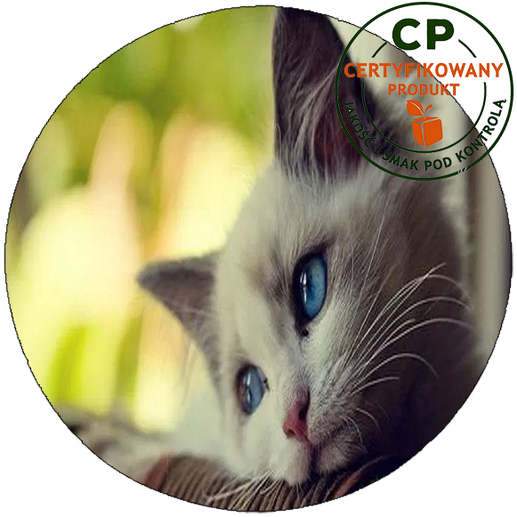 Opłatek na tort Koty