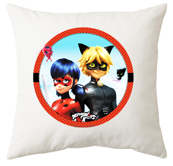 Poduszka Biedronka i Czarny Kot