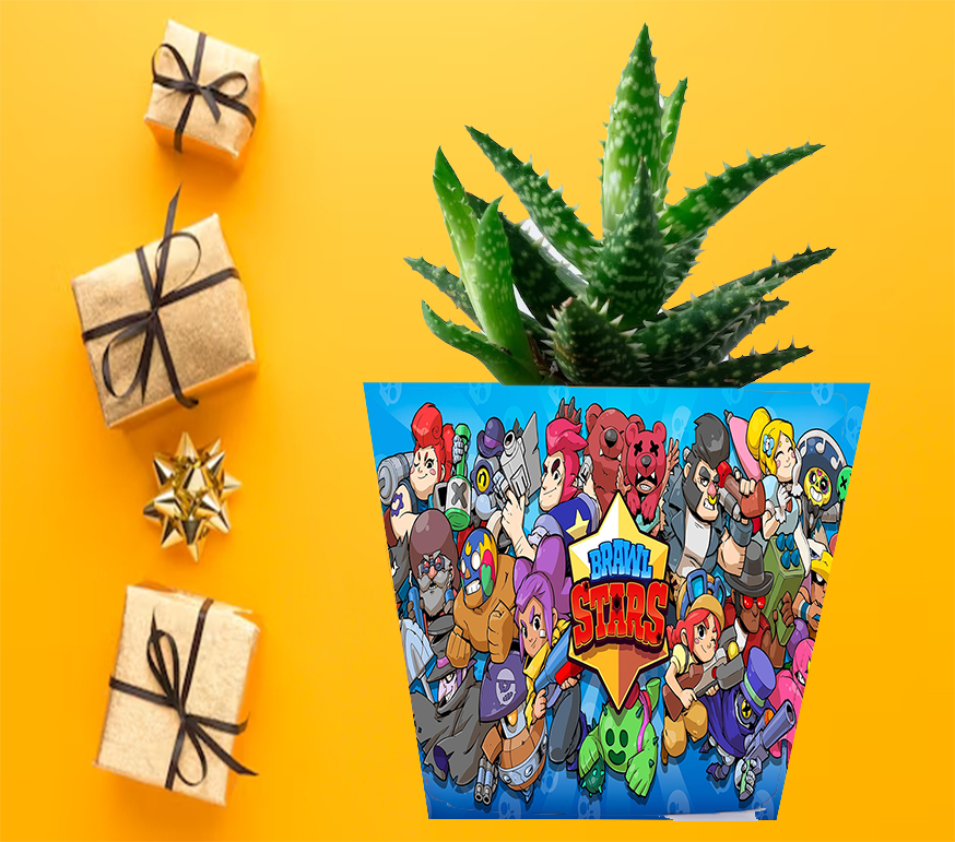 Doniczka do kwiatów - Brawl Stars