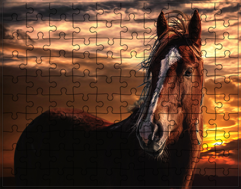 Puzzle Konie