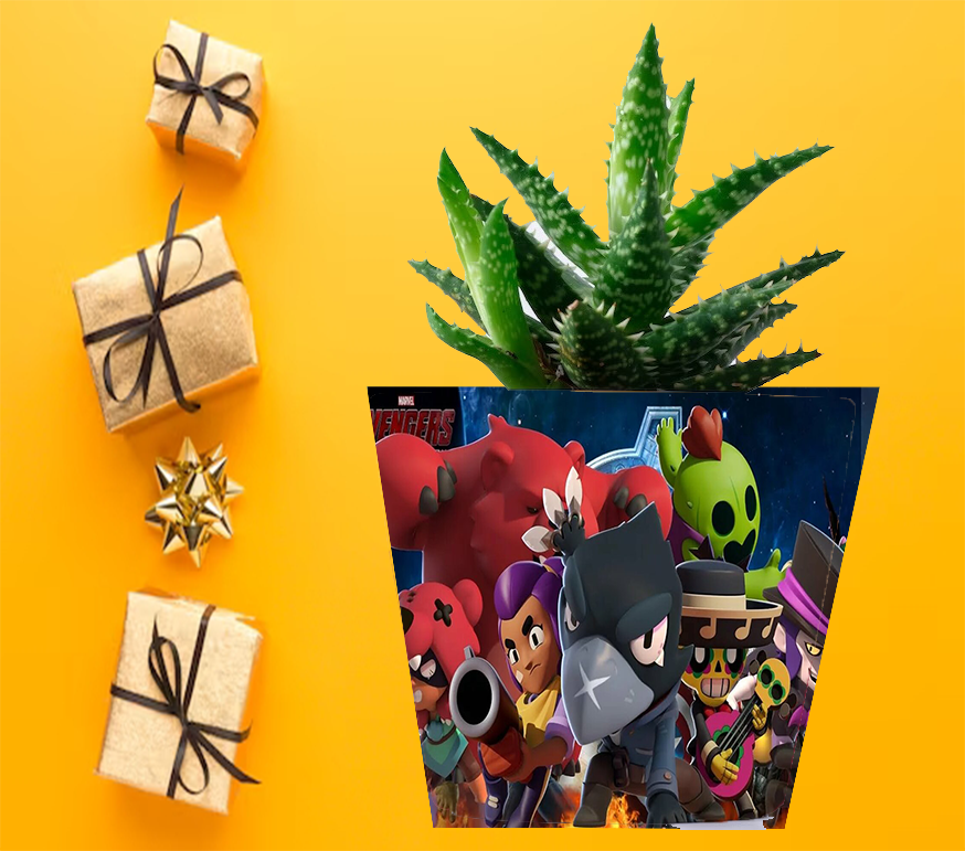 Doniczka do kwiatów - Brawl Stars