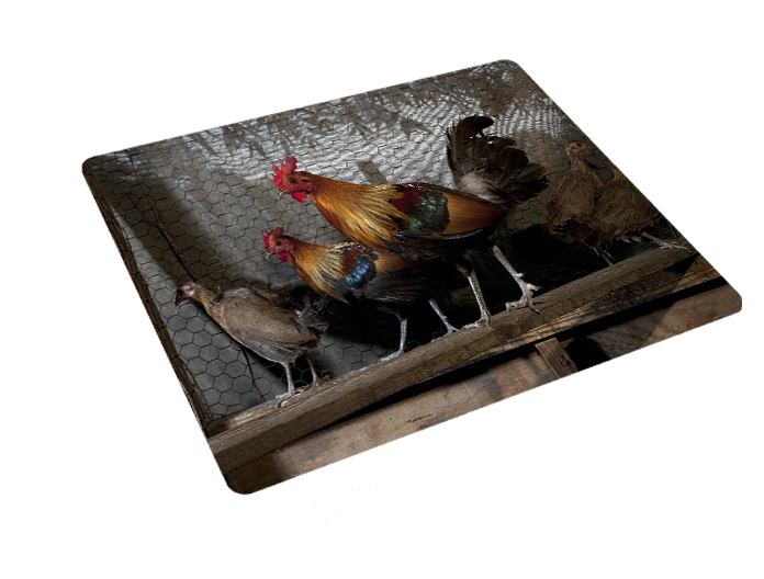 Podkładka pod myszkę Kury