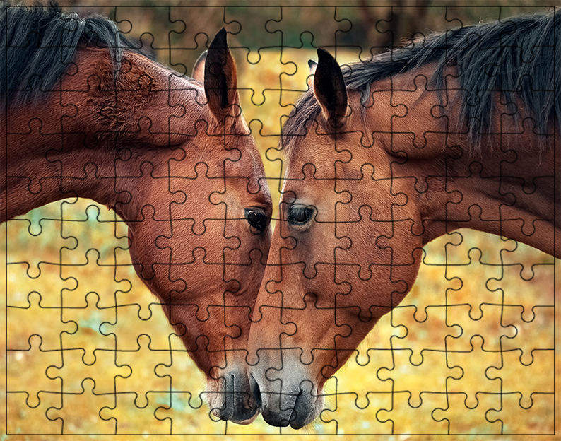 Puzzle Konie