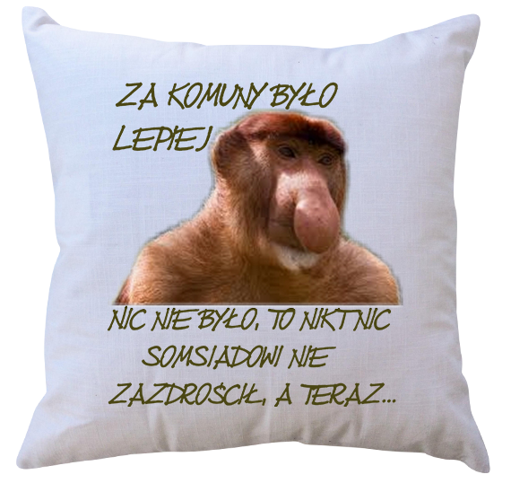 Poduszka dla Janusza