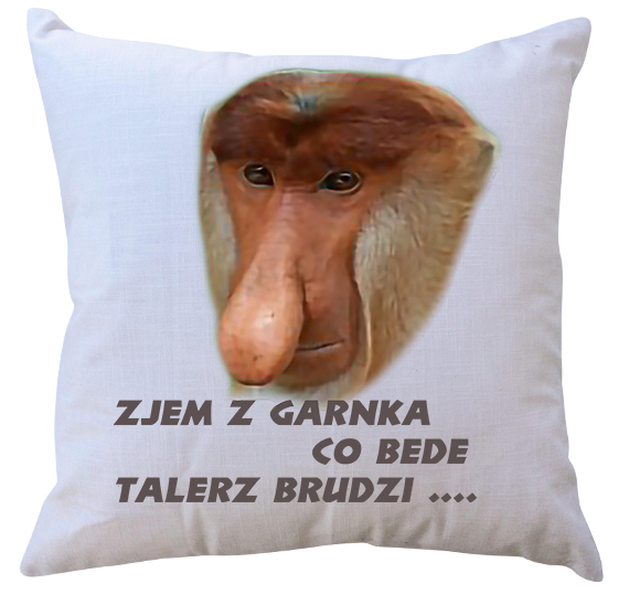 Poduszka dla Janusza
