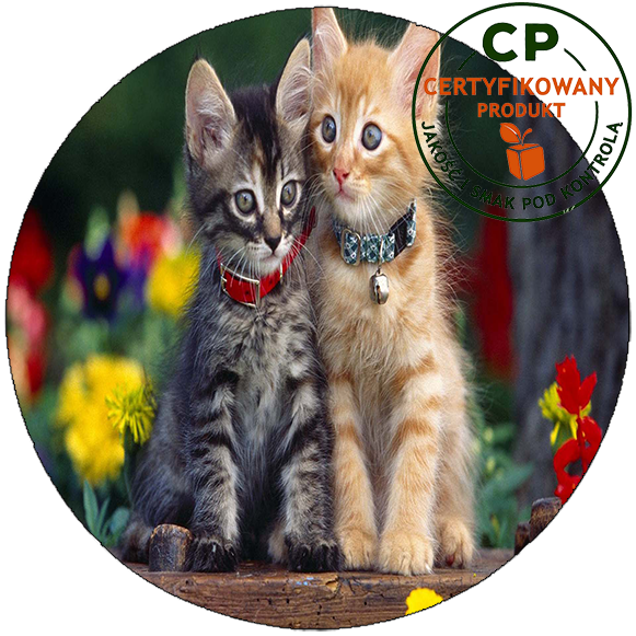 Opłatek na tort Koty