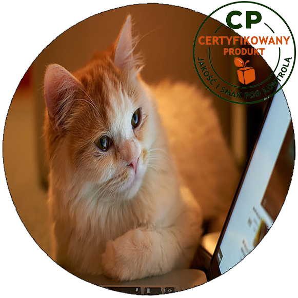 Opłatek na tort Koty