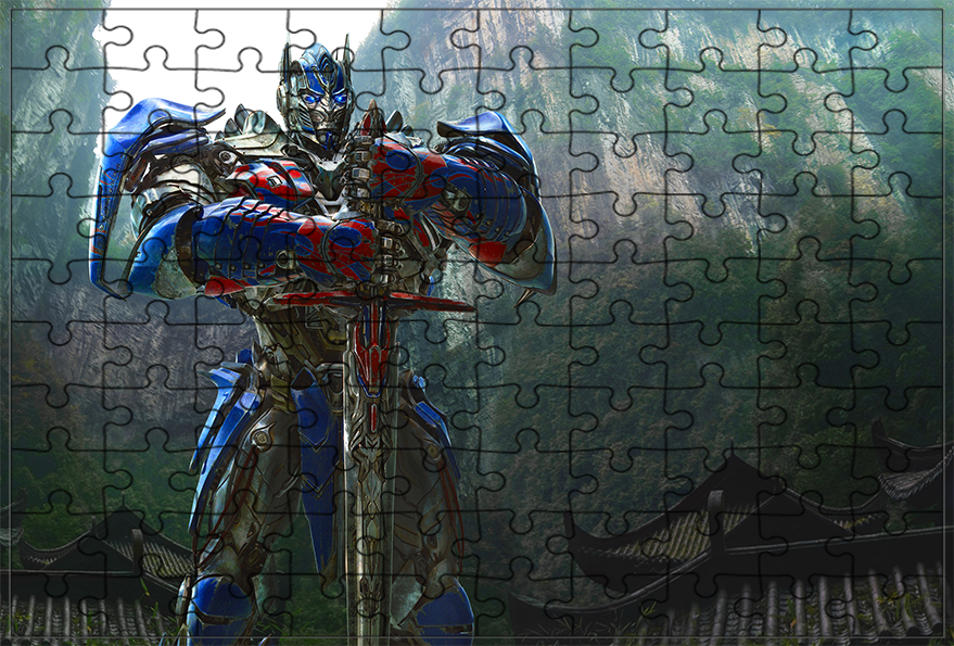 Puzzle Transformers