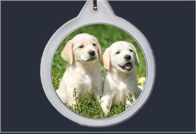 Brelok do kluczy Pieski