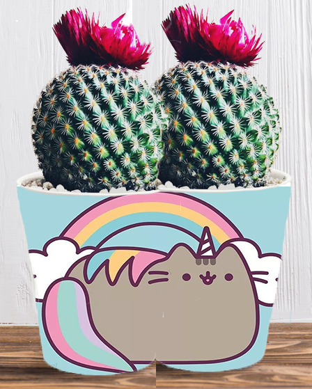 Doniczka do kwiatów/roślin - Pusheen - Kotek