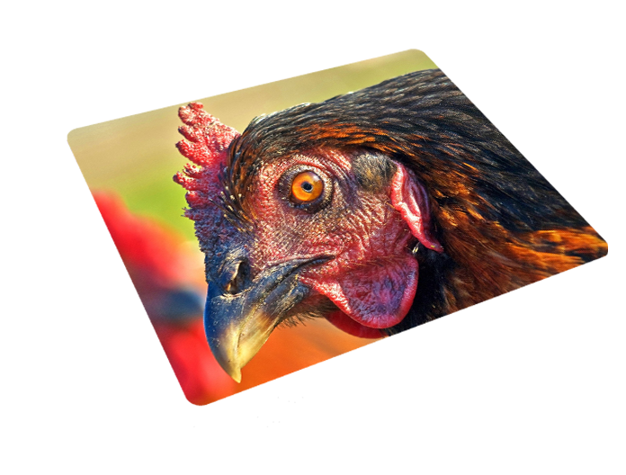 Podkładka pod myszkę Kury