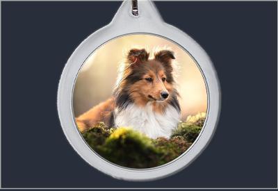 Brelok do kluczy Pies