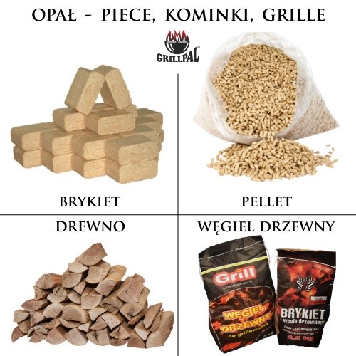 Węglarka mała