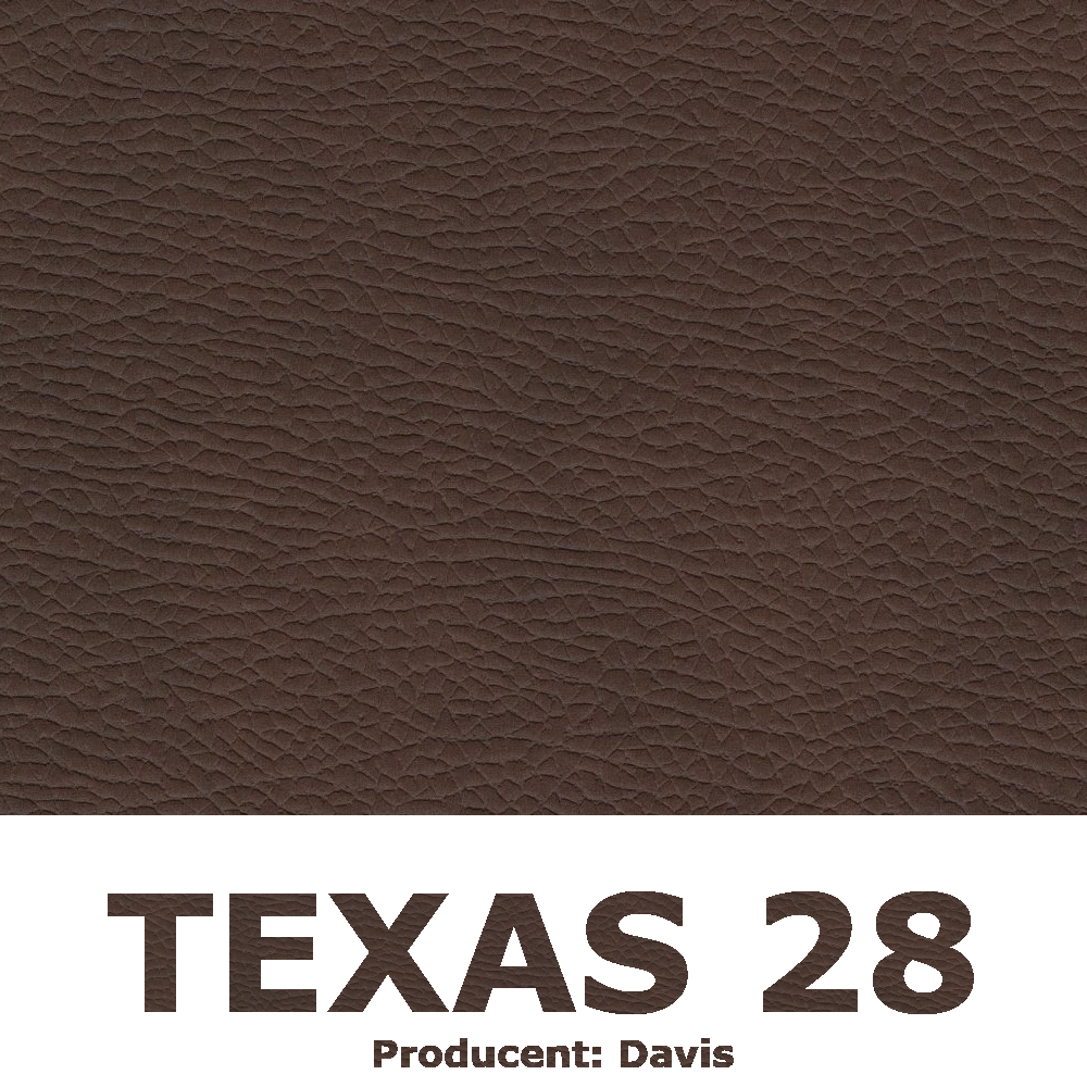 Texas 28