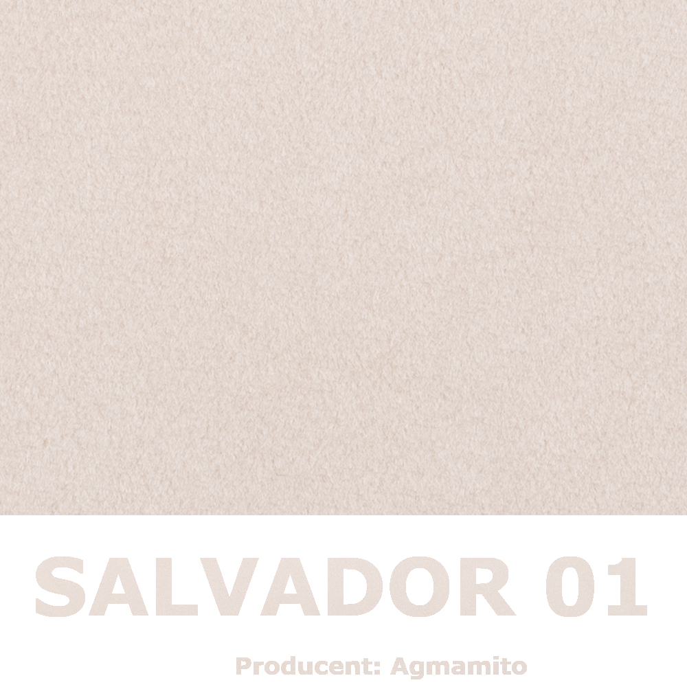 Salvador 01