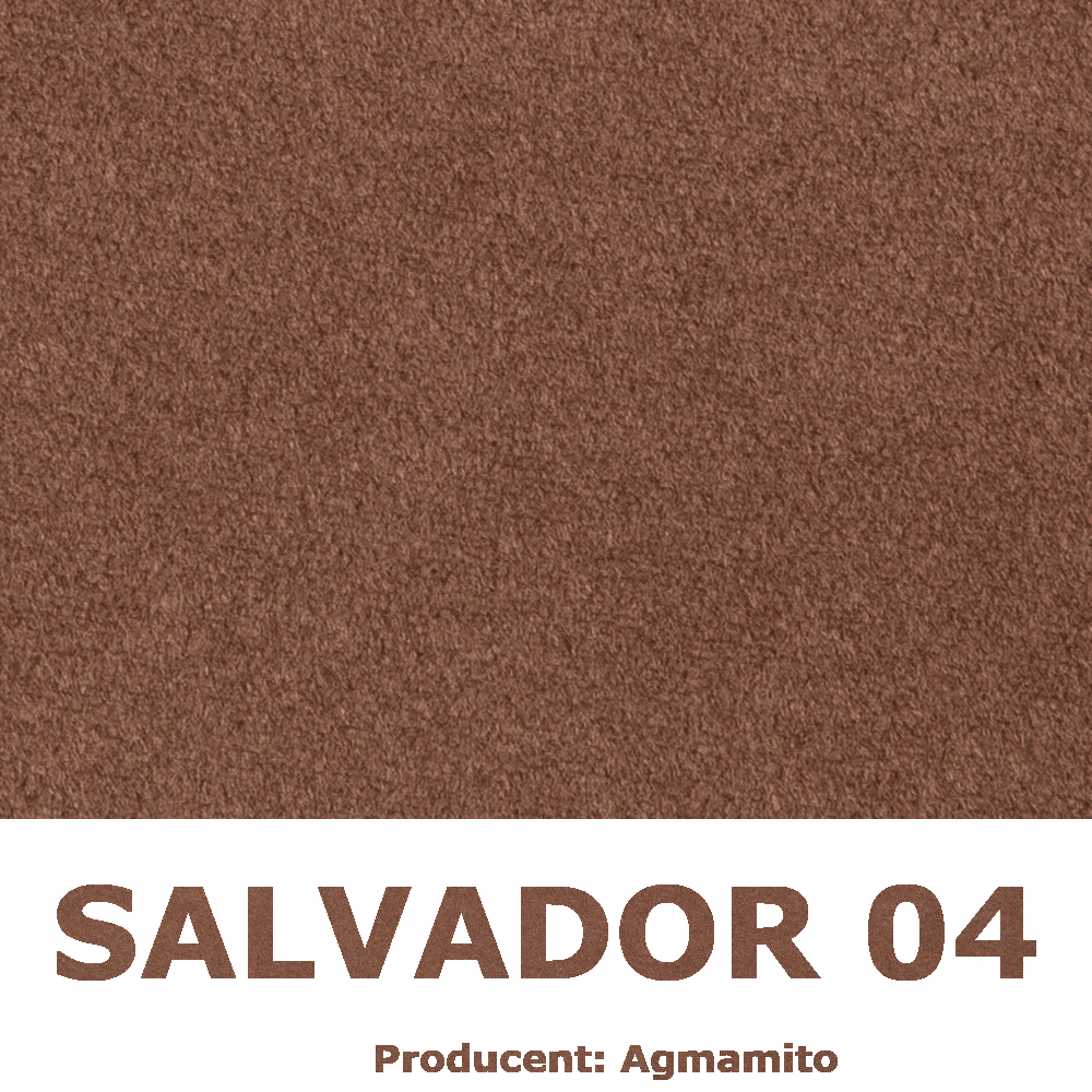 Salvador 04
