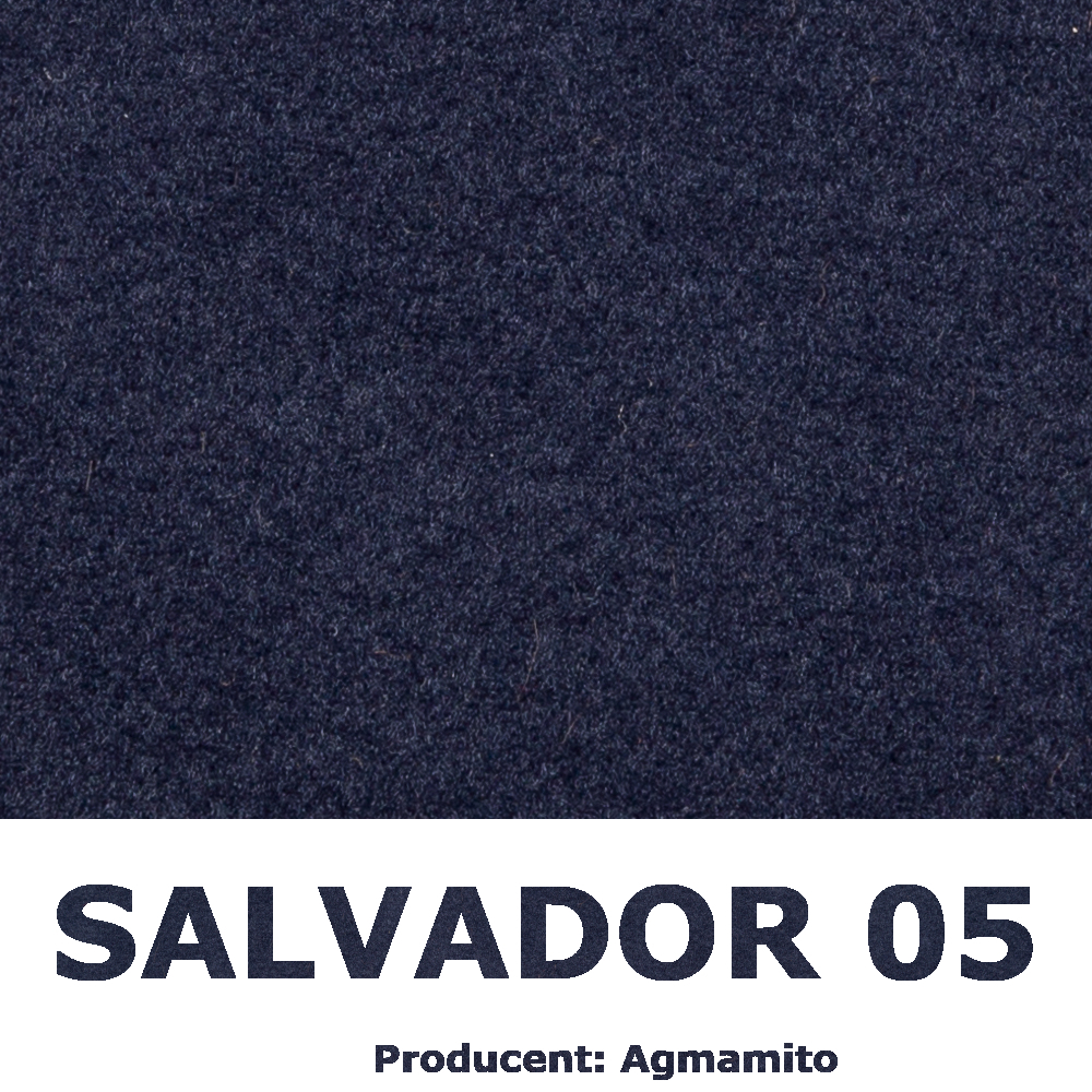 Salvador 05