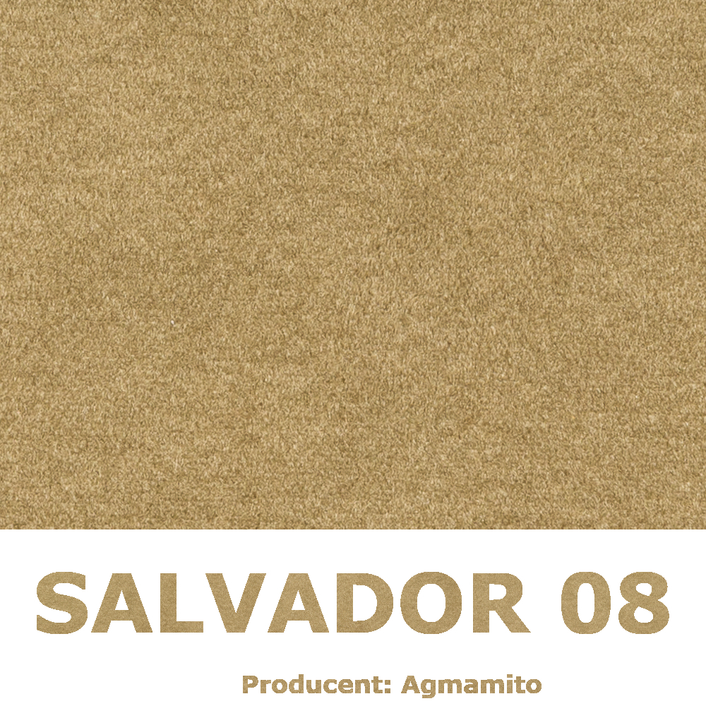 Salvador 08