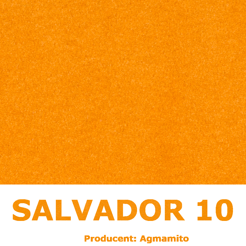 Salvador 10