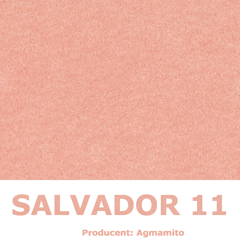 Salvador 11
