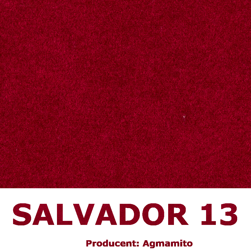 Salvador 13