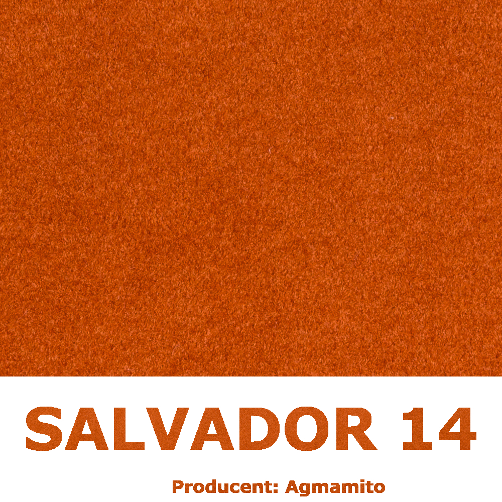 Salvador 14