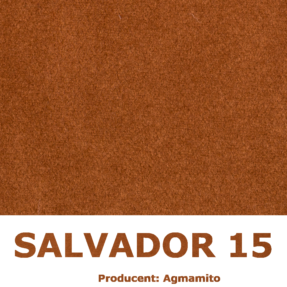 Salvador 15