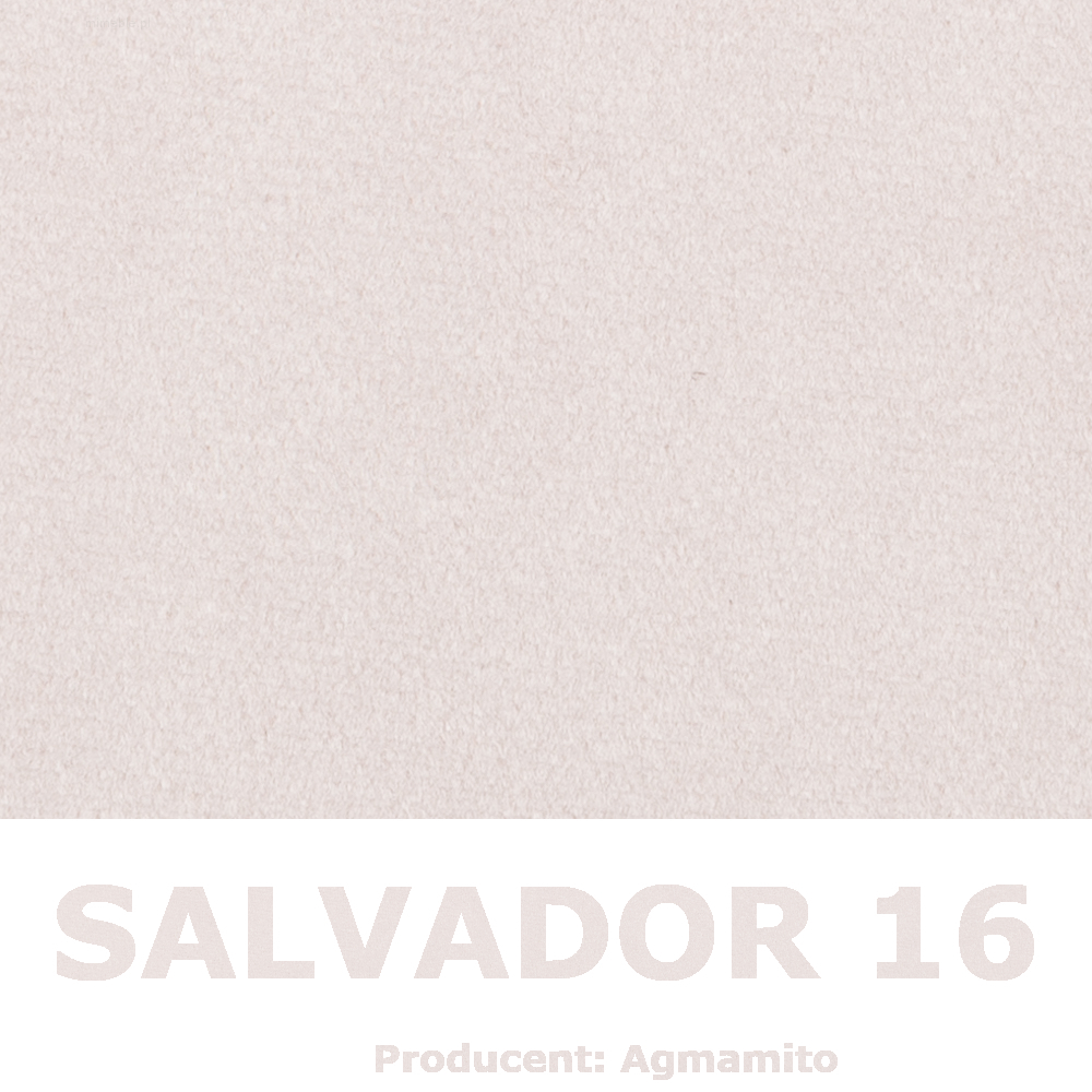Salvador 16