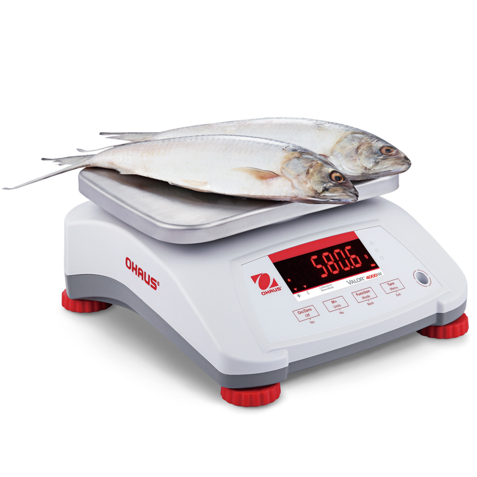 Waga VALOR 4000 z legalizacją kuchenna gastronomiczna wodoodporna IP68 LED 15Kg / 5g - OHAUS V41PWE15T-M (3)